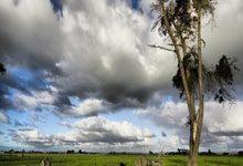 IM体育社区互动入口-关于ATP总决赛横扫法网，穆雷统治全场的信息