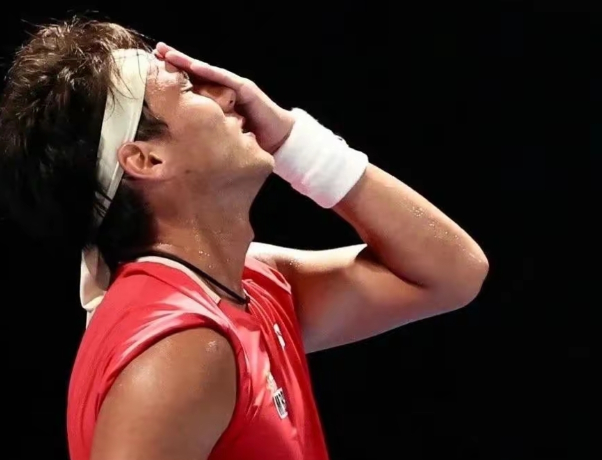 IM体育在线注册-捷克国家队势如破竹，锋线进球势不可挡的简单介绍