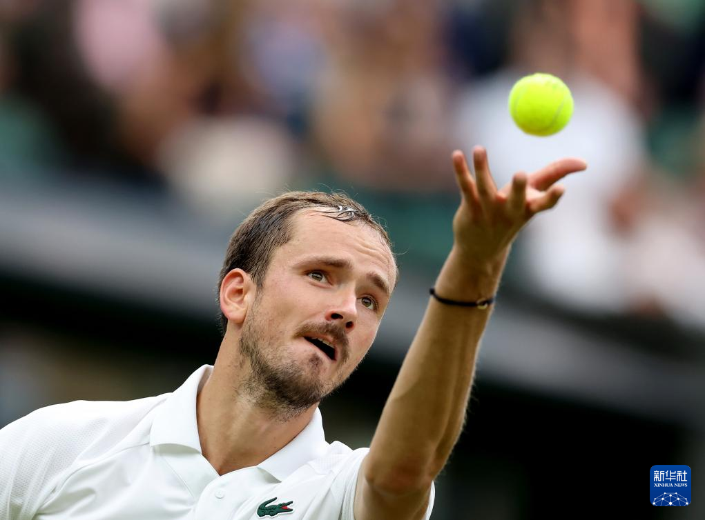 IM体育官方平台-澳网碾压法网，梅德韦杰夫刷新纪录的简单介绍